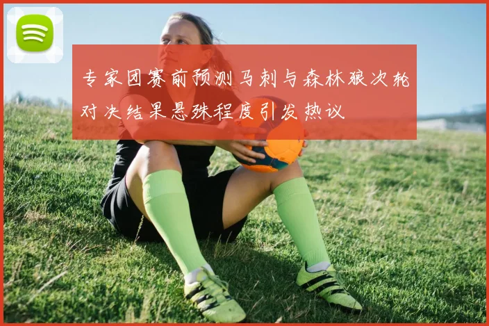 专家团赛前预测马刺与森林狼次轮对决结果悬殊程度引发热议