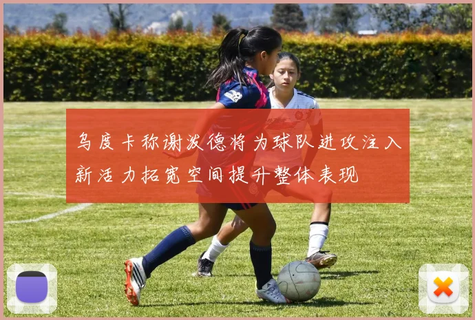 乌度卡称谢泼德将为球队进攻注入新活力拓宽空间提升整体表现